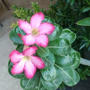 Meet your Posher, Jb